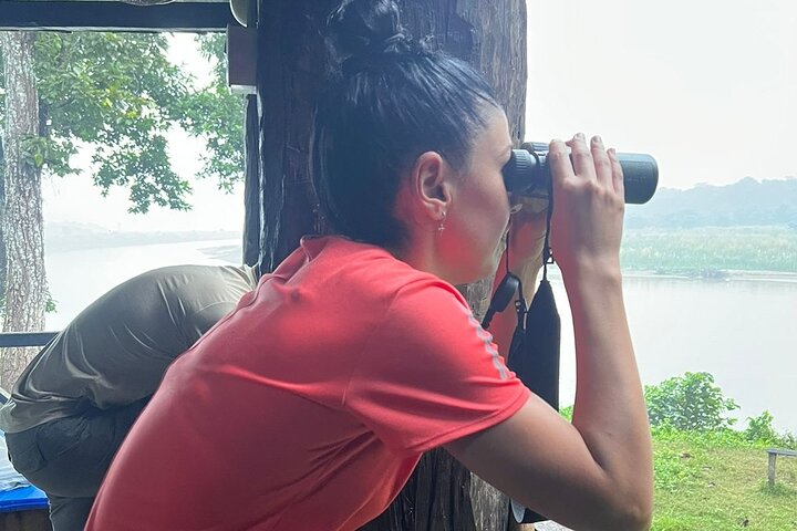 2Night 3Day Chitwan Jungle Tower Night Stay and CNP Nepal Safari
