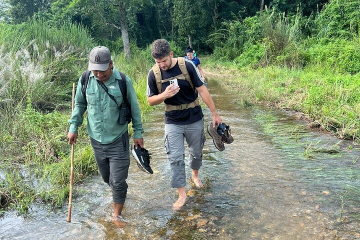2Night 3Day Chitwan Jungle Tower Night Stay and CNP Nepal Safari