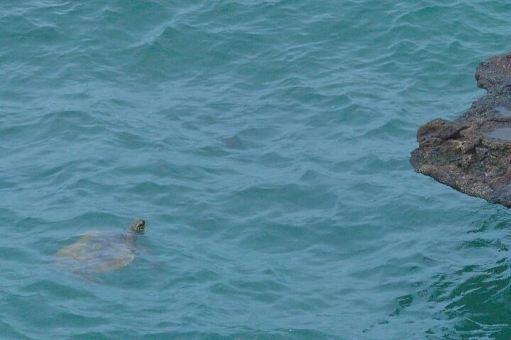 Boa Vista 4x4: Sharks, Turtles, Caves, Sandboard & Tasting tour