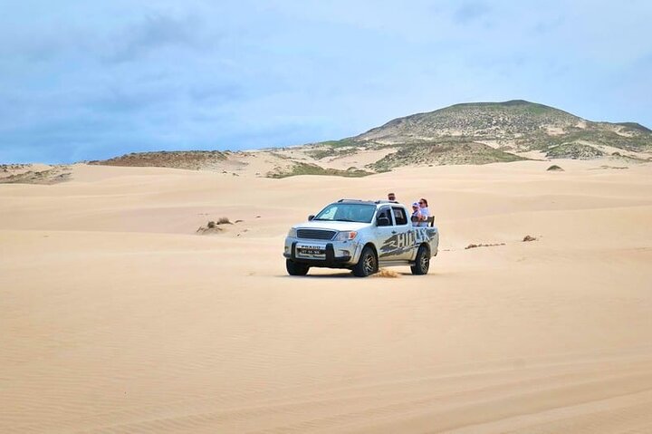 Boa Vista 4x4: Sharks, Turtles, Caves, Sandboard & Tasting tour