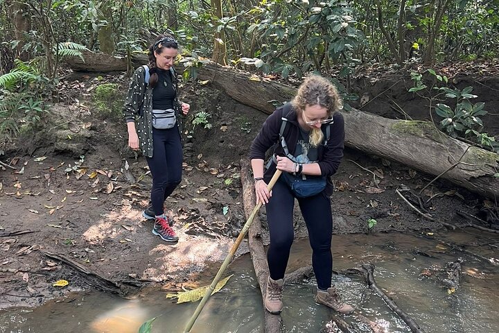 2Night 3Day Chitwan Jungle Tower Night Stay and CNP Nepal Safari
