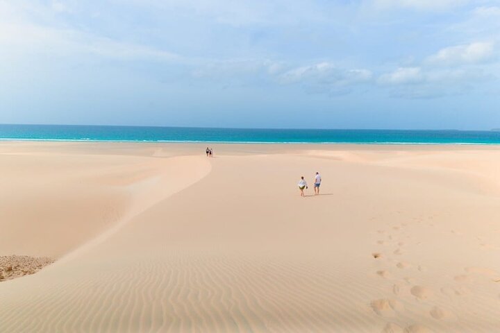 Boa Vista 4x4: Sharks, Turtles, Caves, Sandboard & Tasting tour