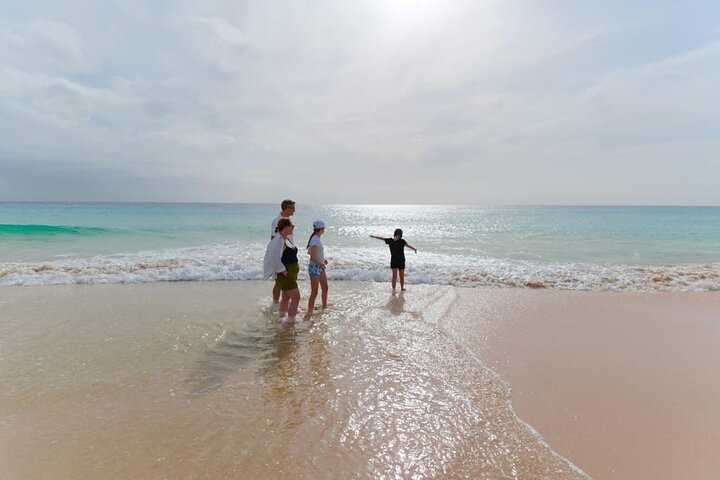 Boa Vista 4x4: Sharks, Turtles, Caves, Sandboard & Tasting tour