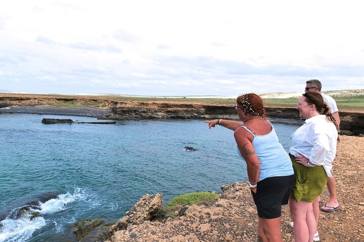 Boa Vista 4x4: Sharks, Turtles, Caves, Sandboard & Tasting tour