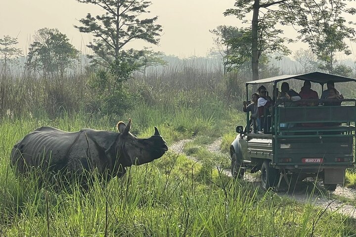 2Night 3Day Chitwan Jungle Tower Night Stay and CNP Nepal Safari