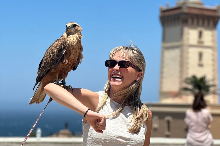 Private full Day Tour in Tangier including camel ride
