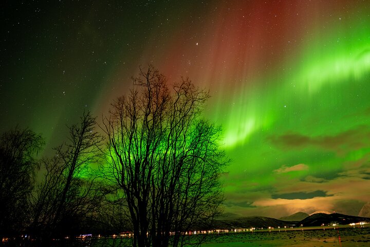 Northern Lights Tour with Local Guide and Photos