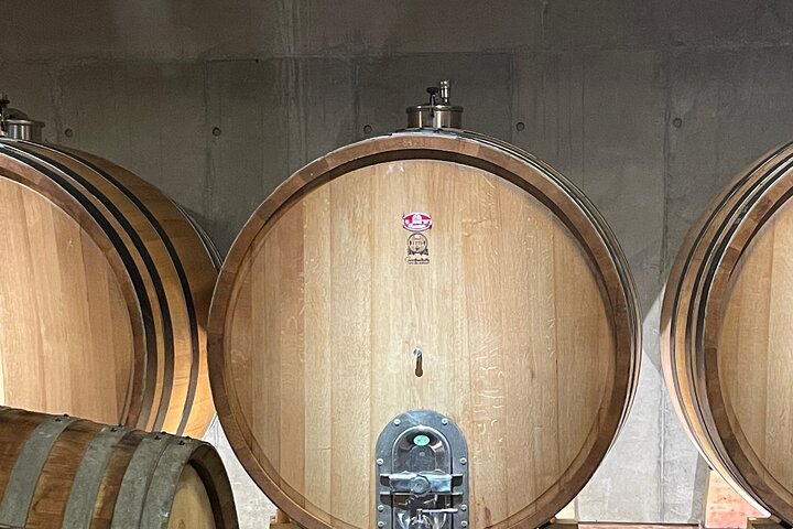 Bertrand Bosc wine and food tour in Pic St Loup