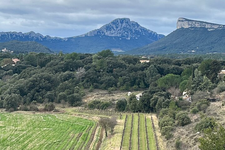 Bertrand Bosc wine and food tour in Pic St Loup