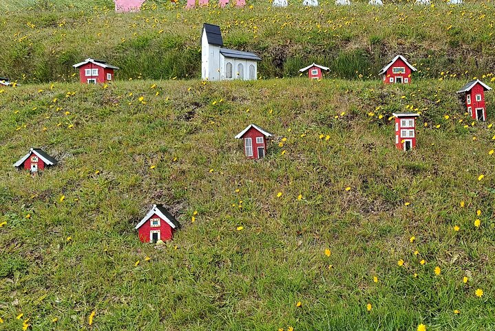 Tour desde Djúpivogur: Stokksnes-Vestrahorn-Höfn(lunch)-viewpoint