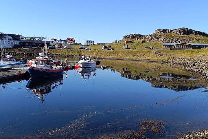 Tour desde Djúpivogur: Stokksnes-Vestrahorn-Höfn(lunch)-viewpoint