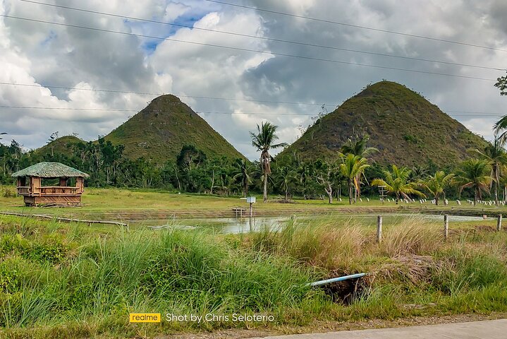 BOHOL Tour 2026 - Chocolate Hills, Tarsier and River Cruise Lunch