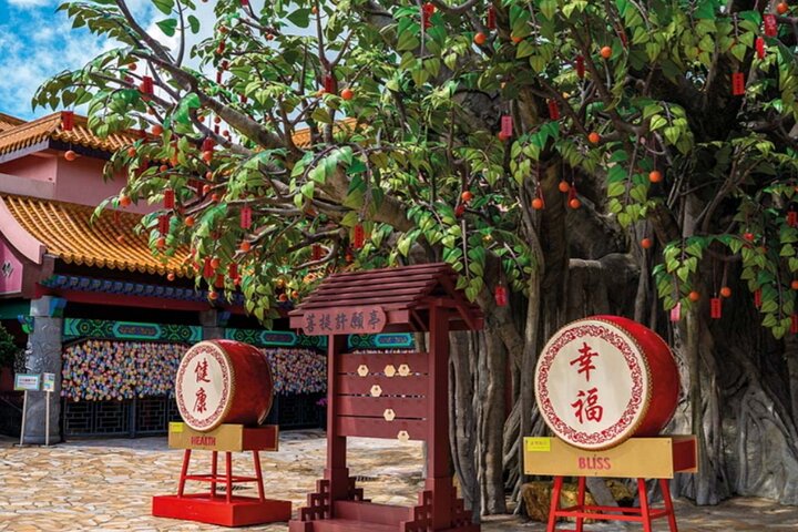 Best Seller: VIP Lantau Tai O Tour Priority Cable Car, Big Buddha