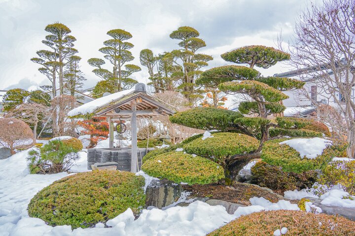 Mount Fuji, Kamakura, Big Buddha, & Lake Ashi Day Trip