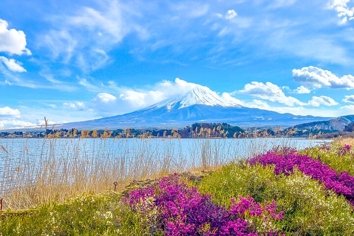 Mount Fuji, Kamakura, Big Buddha, & Lake Ashi Day Trip
