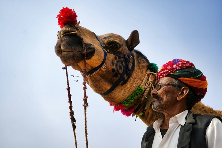 Private 6-Day Golden Triangle Tour: Delhi, Agra, Jaipur by Car
