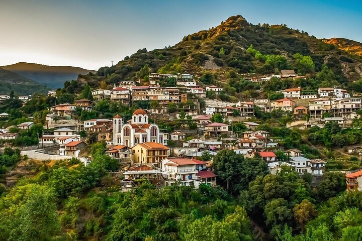 Troodos Mountains, Kykkos and Omodos Bus Tour from Paphos