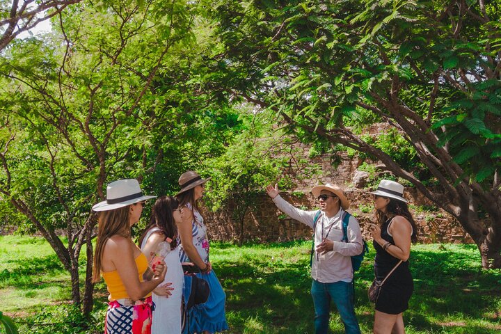 Monte Alban for 3hrs, Black Pottery and Alebrijes with Admissions