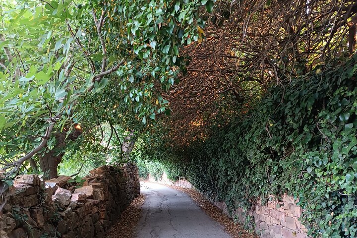 Chios Private Full Day Sightseeing Tour