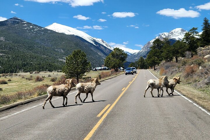 Discover Rocky Mountain National Park-Small Group Tour & Picnic