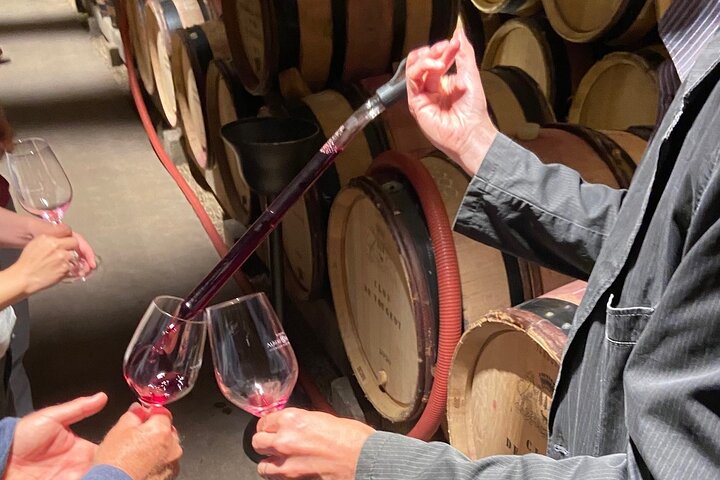 Full-Day Burgundy Wine & Gastonomy: Tastings & Gourmet Lunch