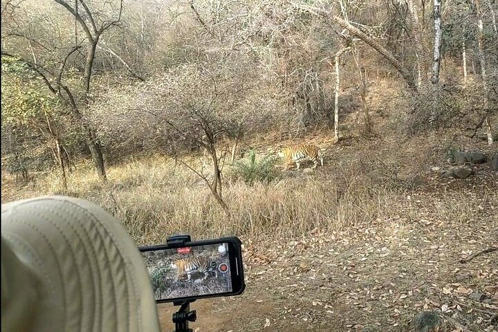 Ranthambore Tiger Safari In Gypsy 6 Seater All Inclusive visits
