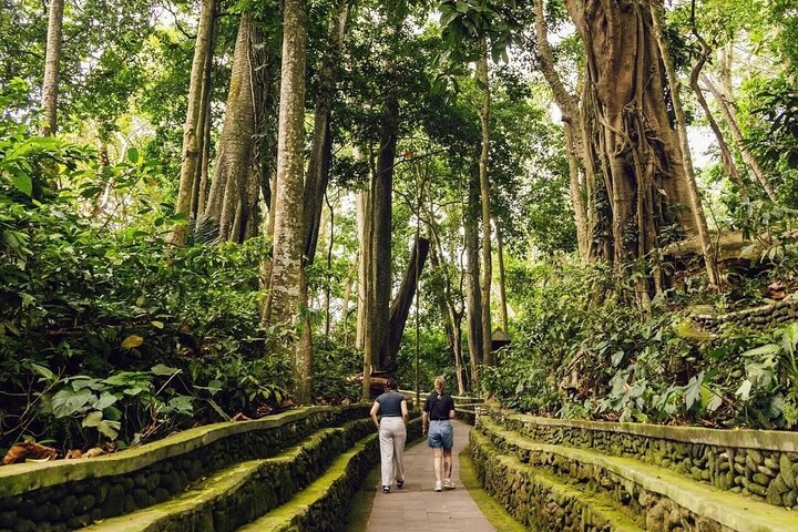 Discover The Best of Ubud: All-Inclusive and Private Guided Tour