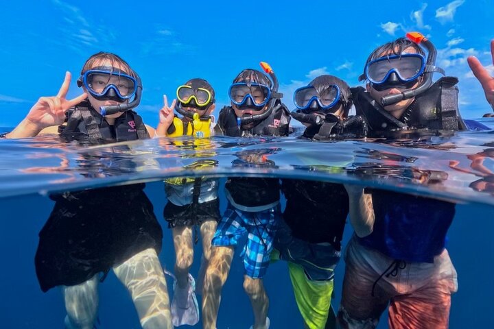 Okinawa Iriomote Snorkeling Tour at Coral Island