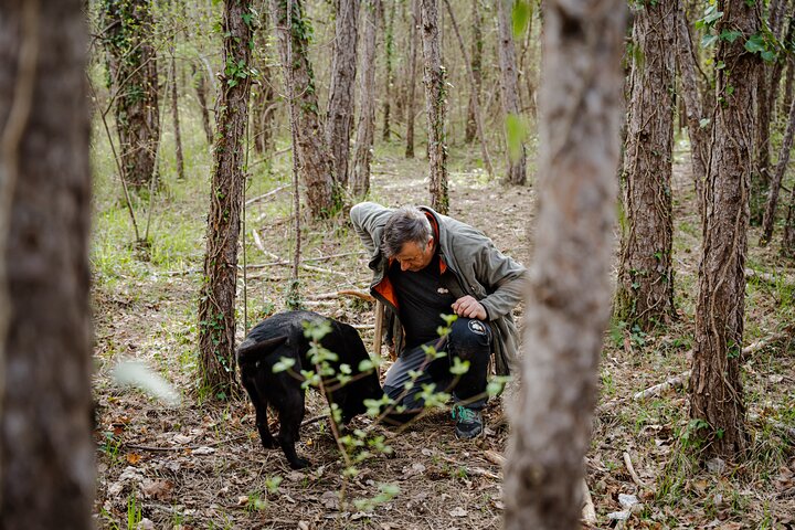 Truffle Hunting and 3-course Truffle Brunch in Motovun