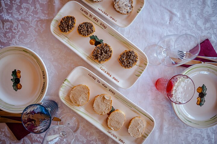 Truffle Hunting and 3-course Truffle Brunch in Motovun