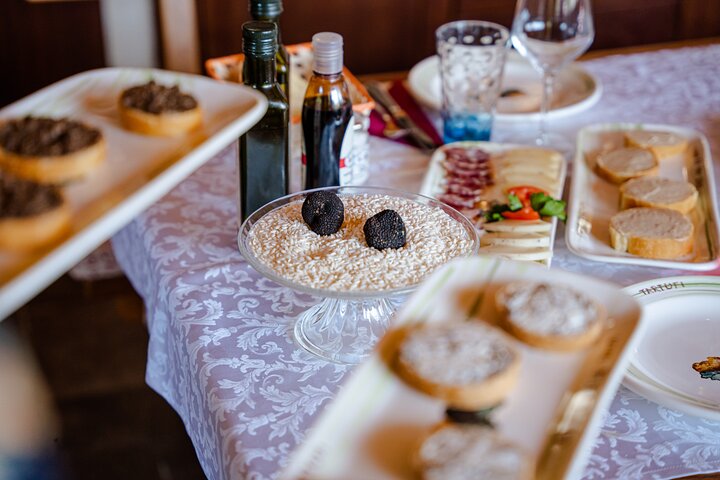 Truffle Hunting and 3-course Truffle Brunch in Motovun
