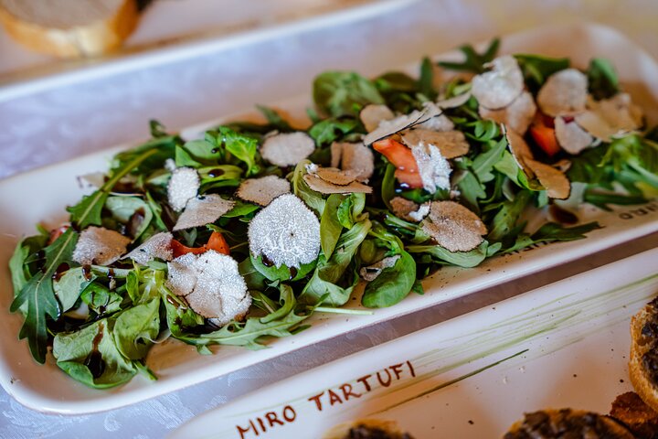 Truffle Hunting and 3-course Truffle Brunch in Motovun