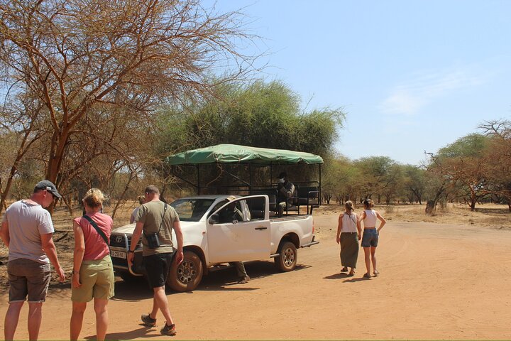 Sensafari Yo private driver tour guide in Senegal- Bandia reserve