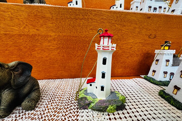 Bay of Fundy Tour Saint John NB