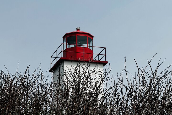 Bay of Fundy Tour Saint John NB