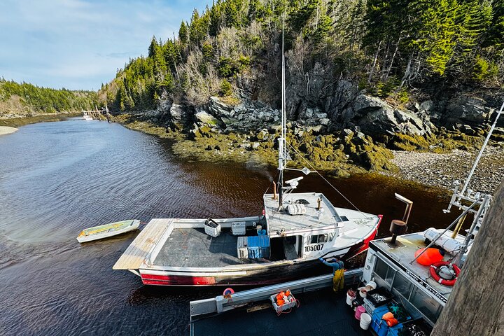 Bay of Fundy Tour Saint John NB