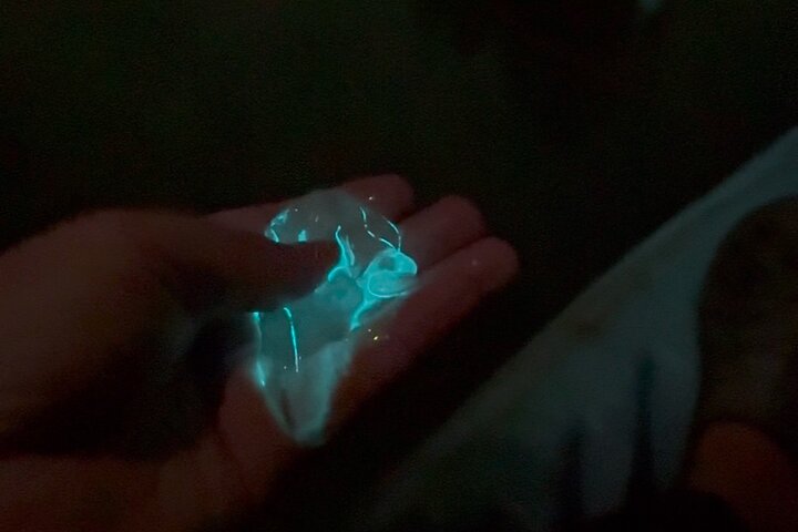 Clear Kayak Bioluminescence Tour - Cocoa Beach
