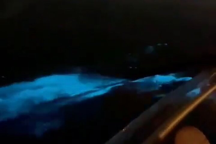 Clear Kayak Bioluminescence Tour - Cocoa Beach