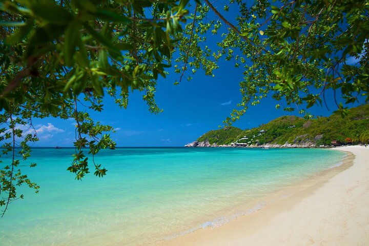 Koh Tao's First Light Snorkel Adventure with Oxygen Tours