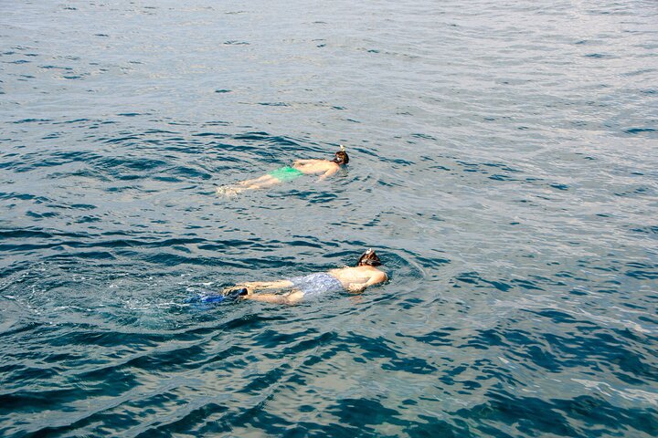 Koh Tao's First Light Snorkel Adventure with Oxygen Tours