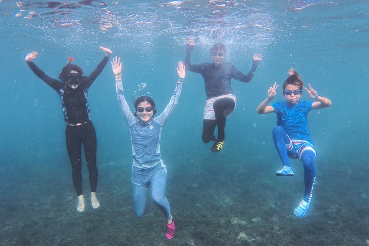 Koh Tao's First Light Snorkel Adventure with Oxygen Tours