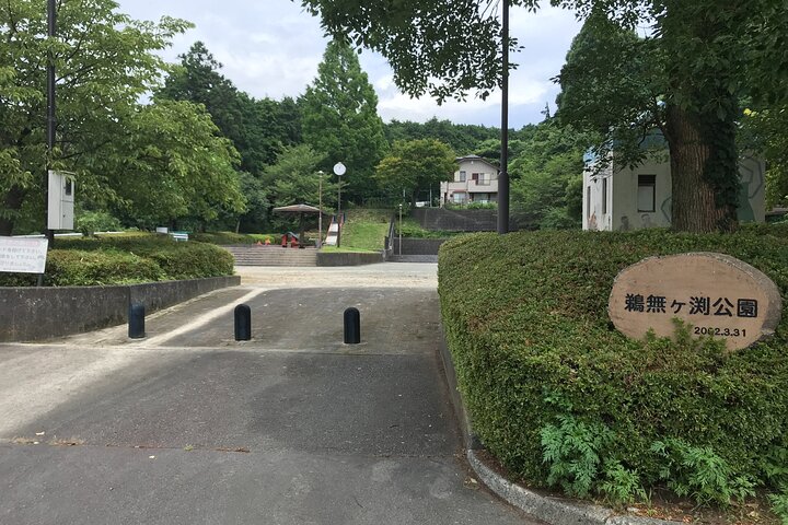 Shizuoka: Ashitaka Canyoning near Mt. Fuji