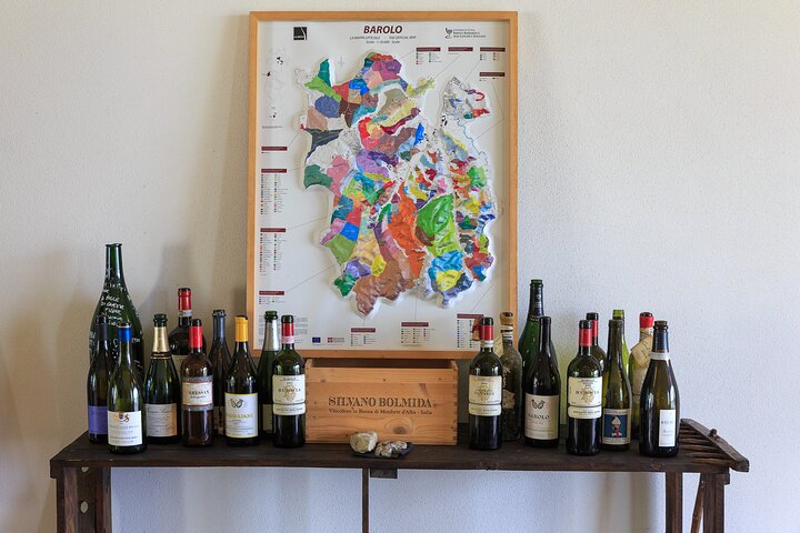 Private tour: discover Langhe wines with expert sommelier
