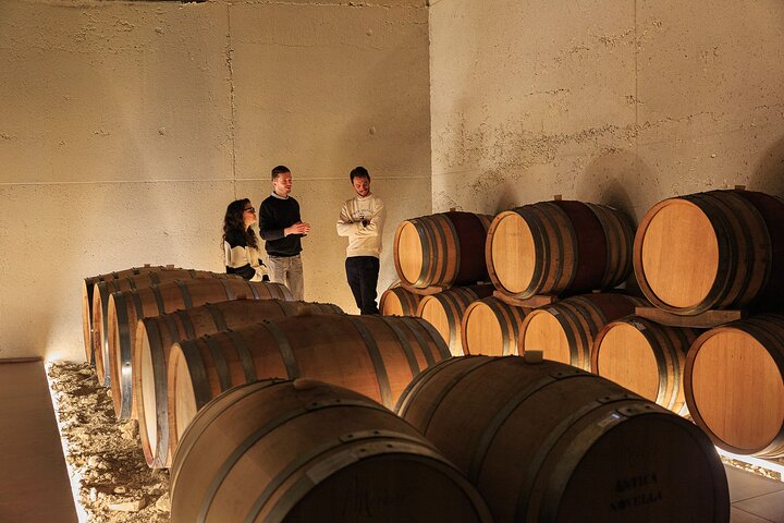 Private tour: discover Langhe wines with expert sommelier