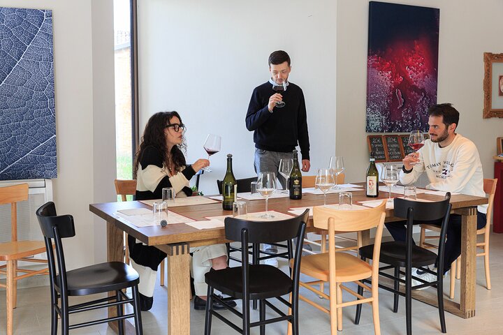 Private tour: discover Langhe wines with expert sommelier