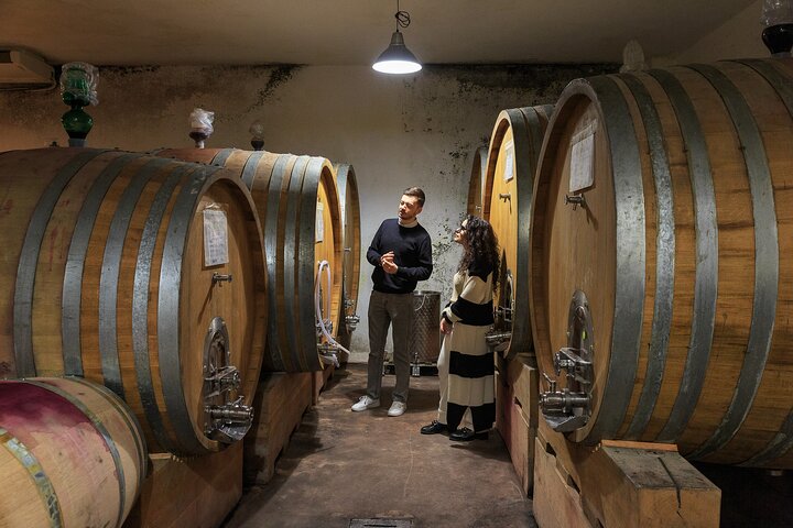 Private tour: discover Langhe wines with expert sommelier