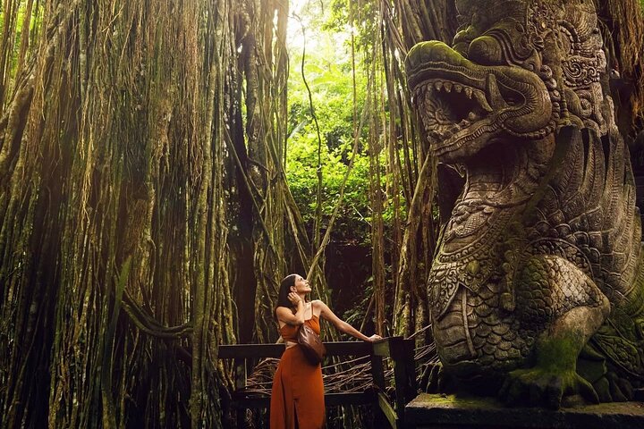 Discover The Best of Ubud: All-Inclusive and Private Guided Tour