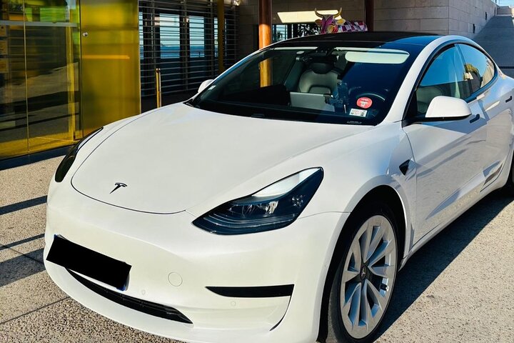 Private Driver: Marseille Airport → Avignon