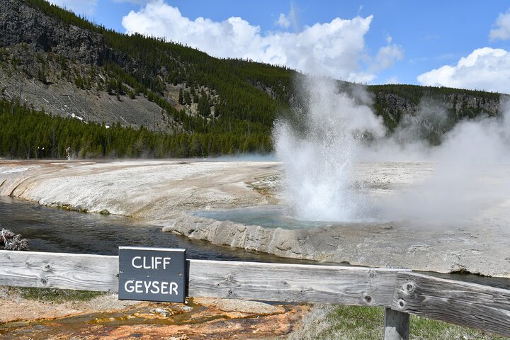 Yellowstone Park Private Day Trip from Big Sky