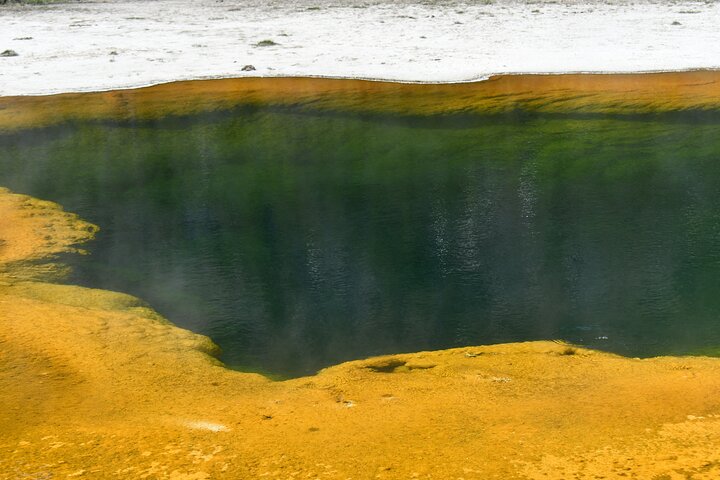 Yellowstone Park Private Day Trip from Big Sky
